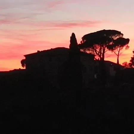 Bed & Breakfast Il Mandorlo Fornole