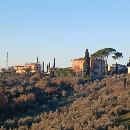 Il Mandorlo